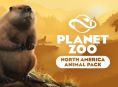 Planet-Zoo-DLC führt euch bald nach Nordamerika