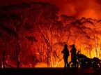 Globale Gaming-Communitys spenden über 4 Millionen Euro an australische Hilfsorganisation Bushfire Relief